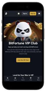 Bitfortune A Comprehensive Overview for New Users -1277247840