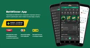 Comprehensive Review of BetWinner Sportsbook